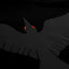 Noir et Noir Raven Black on Black Matte Print Details 1